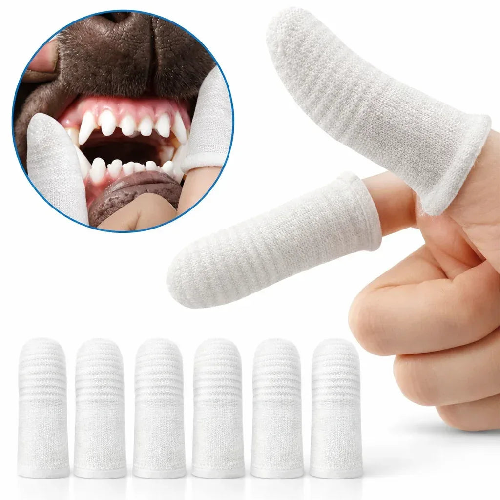 Pet Finger Toothbrush Set