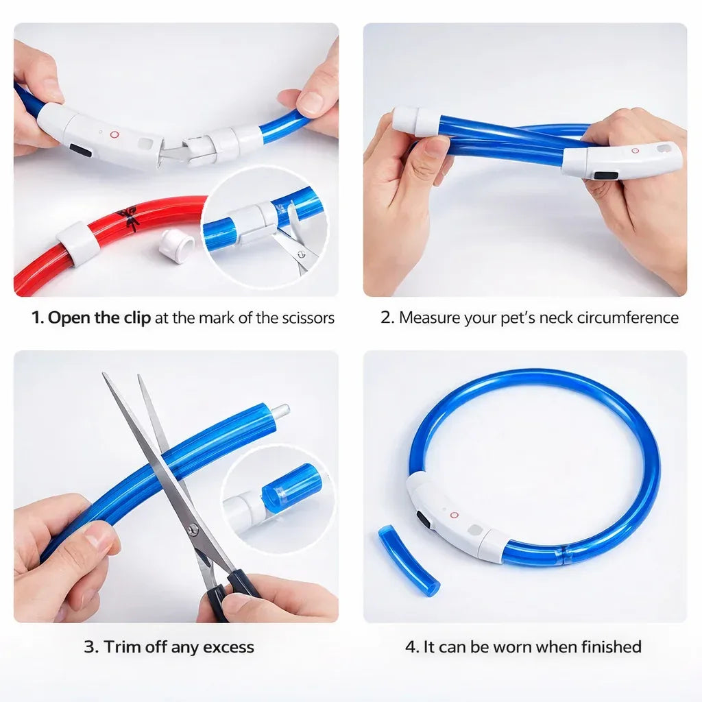 USB Rechargeable LED Dog Collar β Night Visibility & Safety