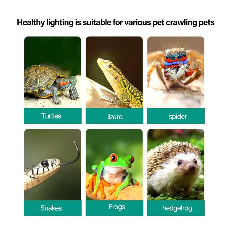 E27 360 Degree Turtle Reptile Heat Lamp Holder Aquarium Tank