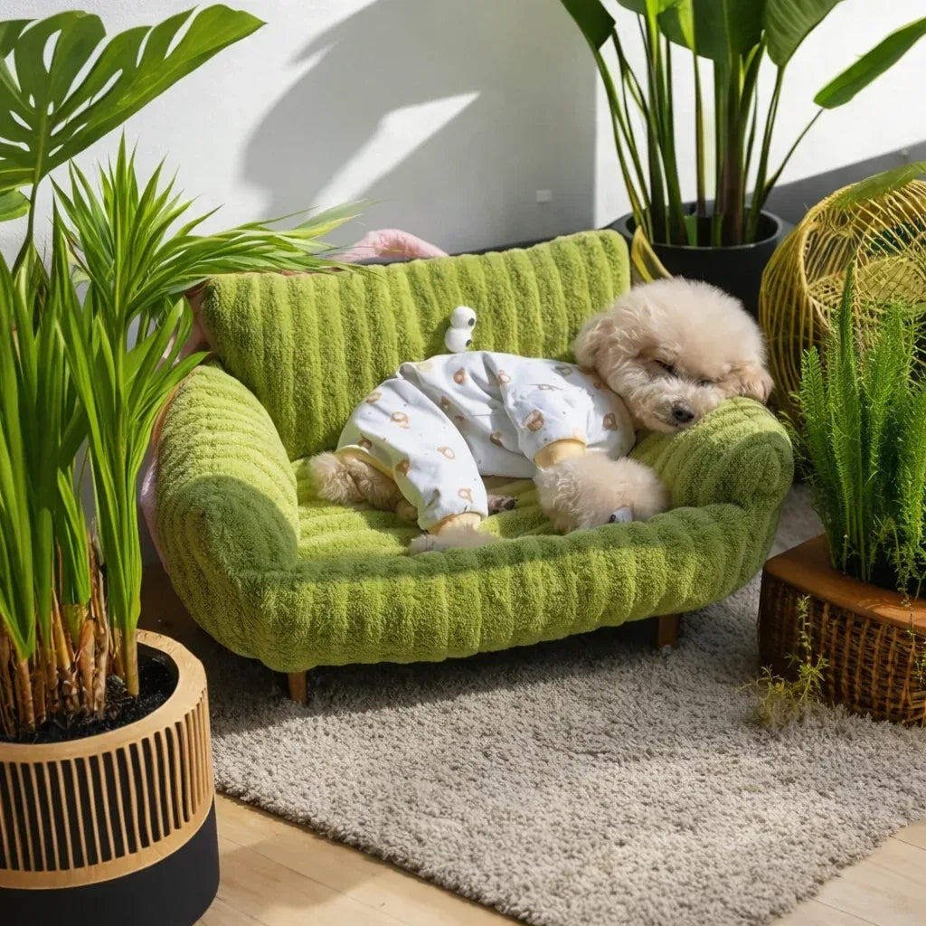 Luxury Pet Sofa Bed