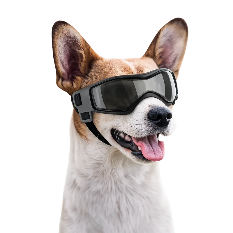 UV Protective Dog Goggles