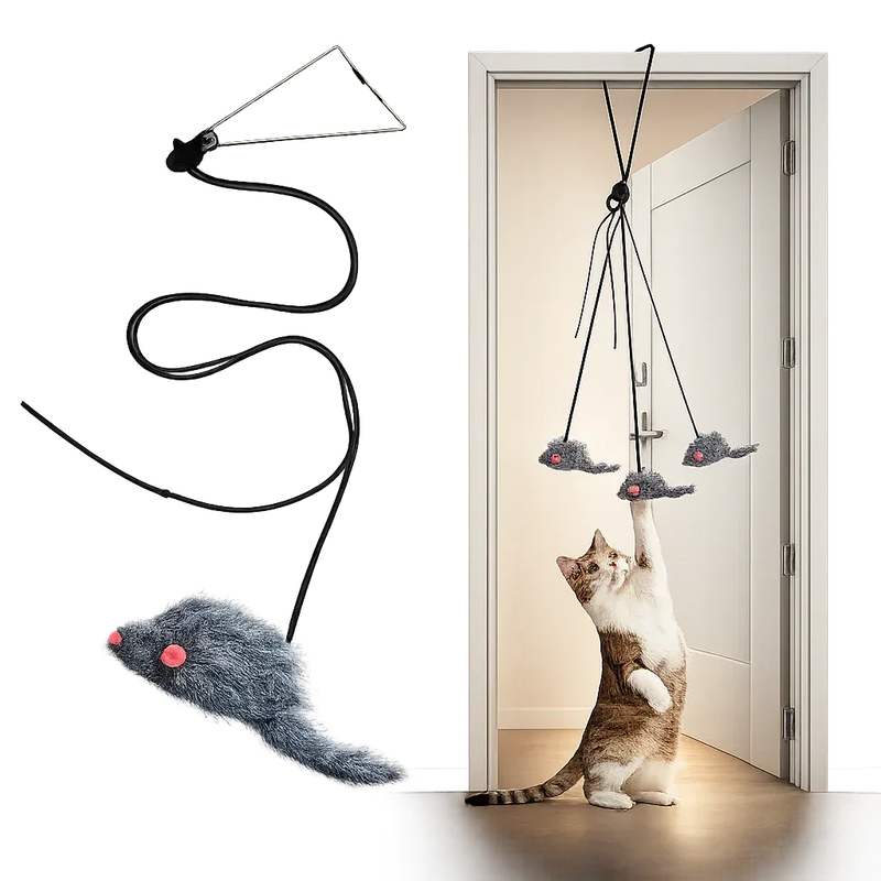 Door Hanging Interactive Cat Toy