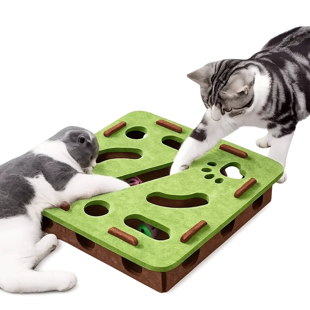 Interactive Puzzle Cat Toy Box