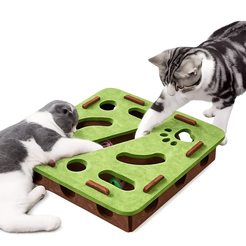 Interactive Puzzle Cat Toy Box