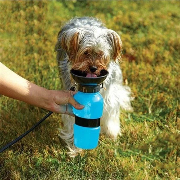 500ml Portable Pet Water Bottle for Dogs & Cats